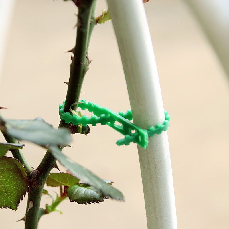 50/100 個再利用可能な庭のケーブルタイ植物サポート低木 - Gear Tie Reusable のレビューと価格
